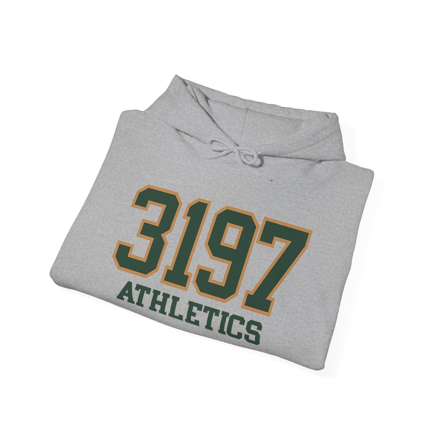 RoadRunner Varsity Hoodie - Mens