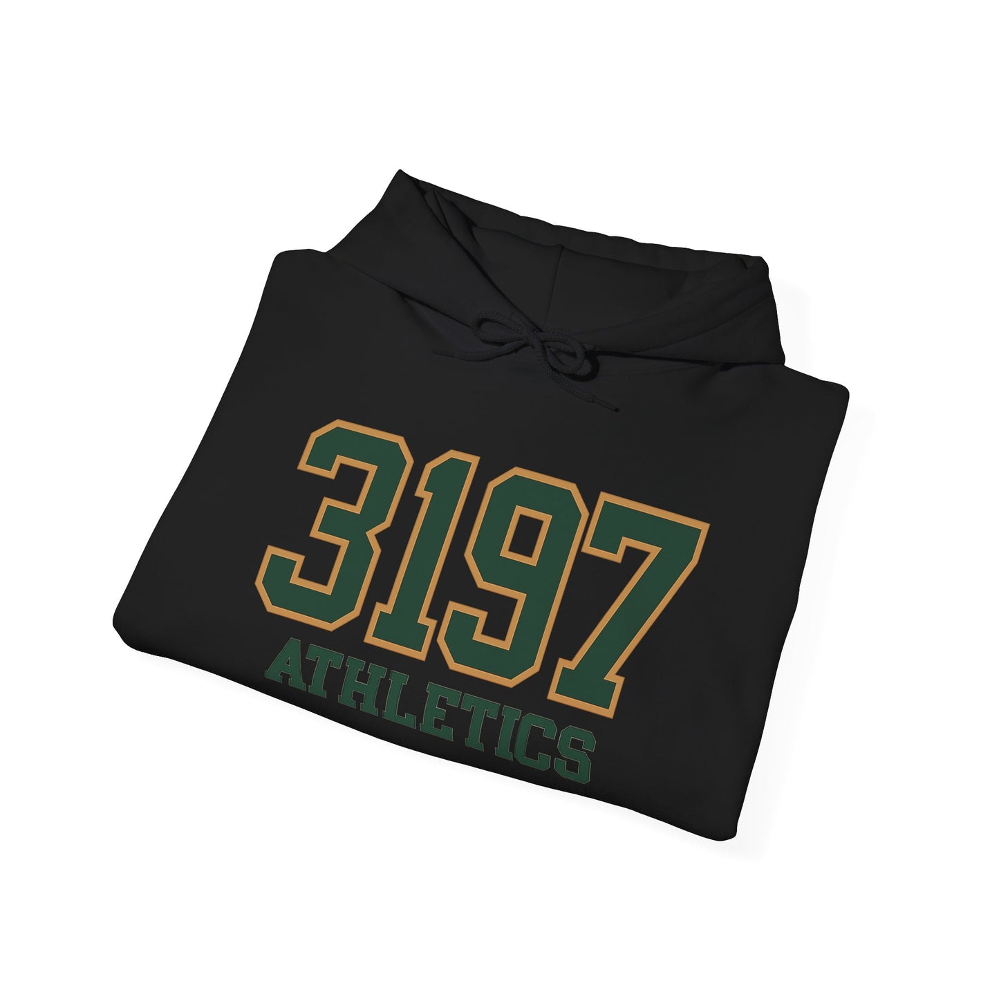 RoadRunner Varsity Hoodie - Mens