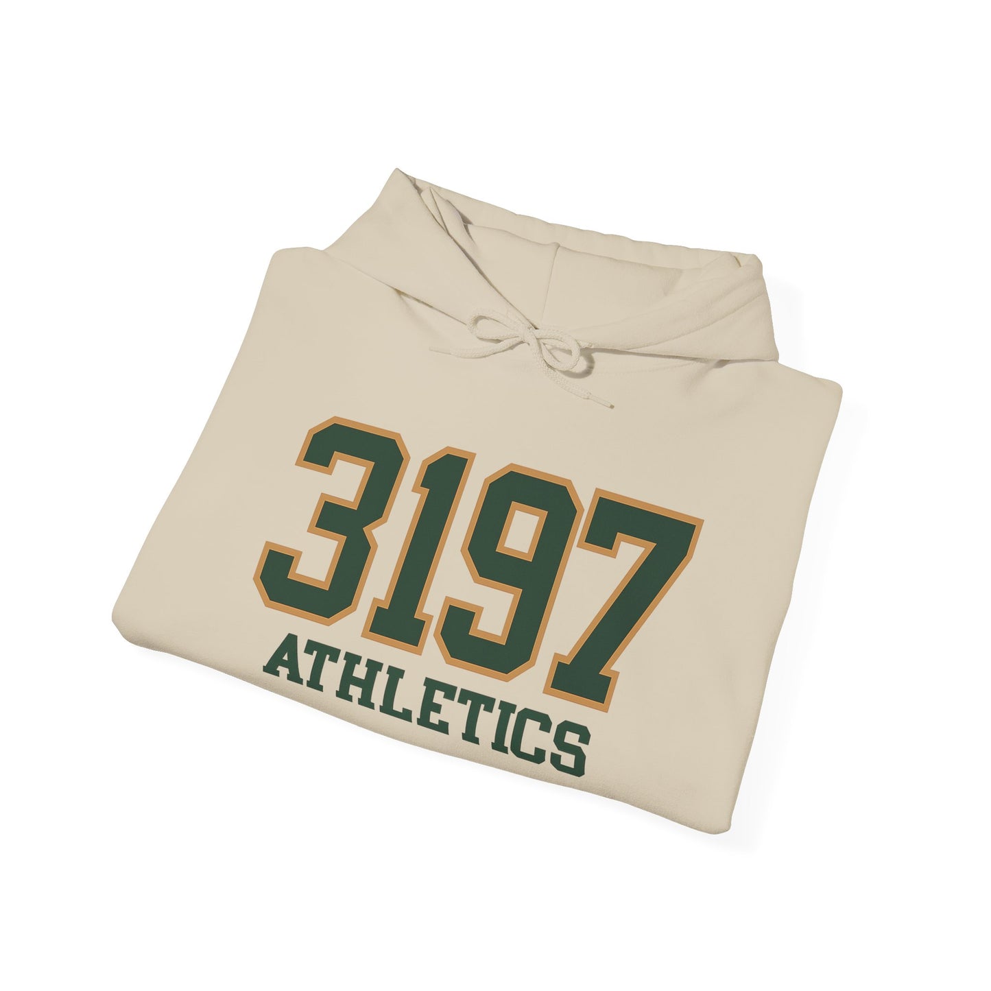 RoadRunner Varsity Hoodie - Mens